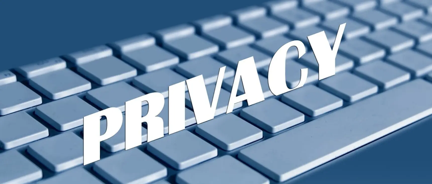Informativa privacy